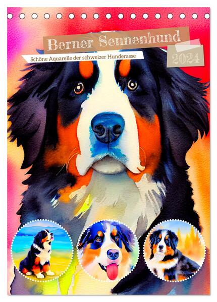 Berner Sennenhund 2024. Schöne Aquarelle der schweizer Hunderasse (Tischkalender 2024 DIN A5 hoch) CALVENDO Monatskalender