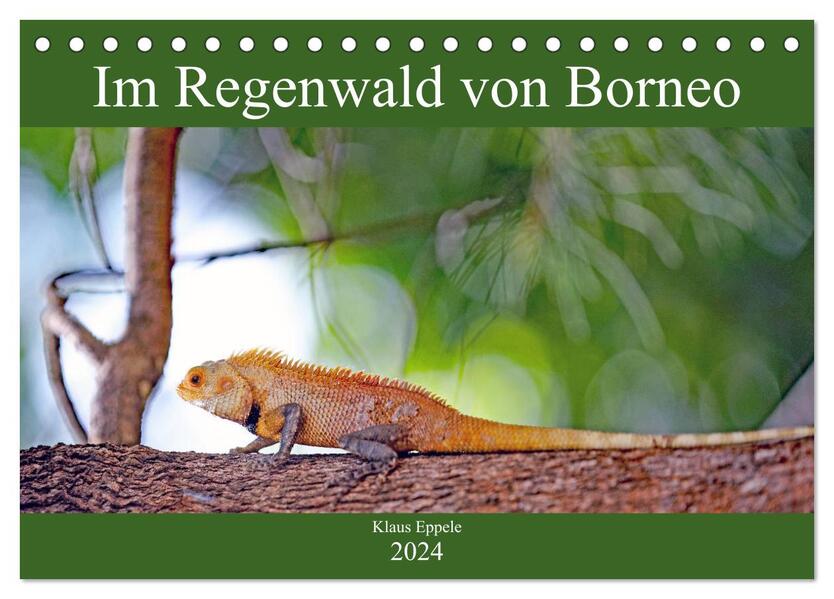 Im Regenwald von Borneo (Tischkalender 2024 DIN A5 quer) CALVENDO Monatskalender