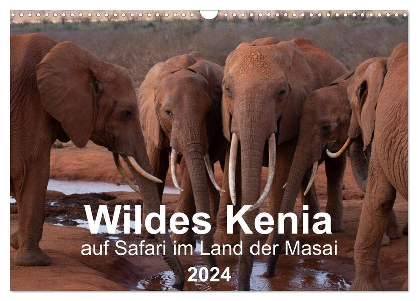 Wildes Kenia - auf Safari im Land der Massai (Wandkalender 2024 DIN A3 quer) CALVENDO Monatskalender