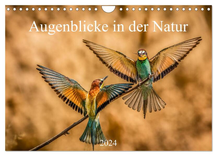Augenblicke in der Natur (Wandkalender 2024 DIN A4 quer) CALVENDO Monatskalender