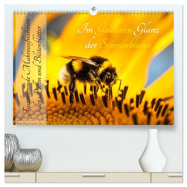 Im Goldenen Glanz der Sonnenblume (hochwertiger Premium Wandkalender 2024 DIN A2 quer) Kunstdruck in Hochglanz