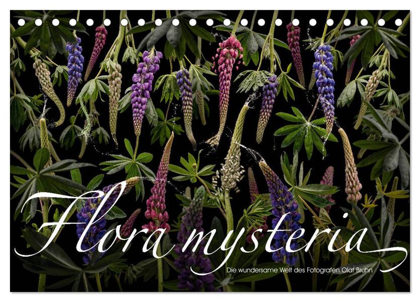 Flora mysteria - Die wundersame Welt des Fotografen Olaf Bruhn (Tischkalender 2024 DIN A5 quer) CALVENDO Monatskalender