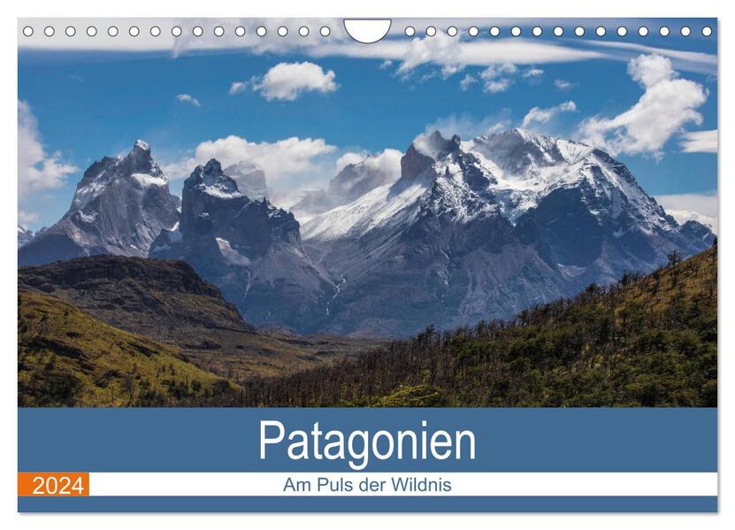 Patagonien - Am Puls der Wildnis (Wandkalender 2024 DIN A4 quer) CALVENDO Monatskalender