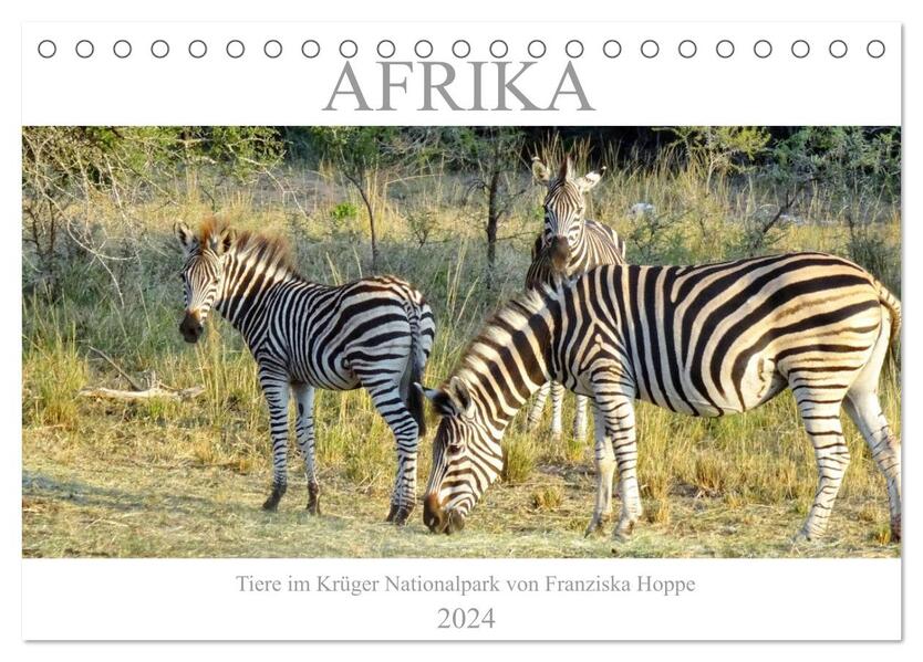 Afrika - Tiere im Krüger Nationalpark (Tischkalender 2024 DIN A5 quer) CALVENDO Monatskalender