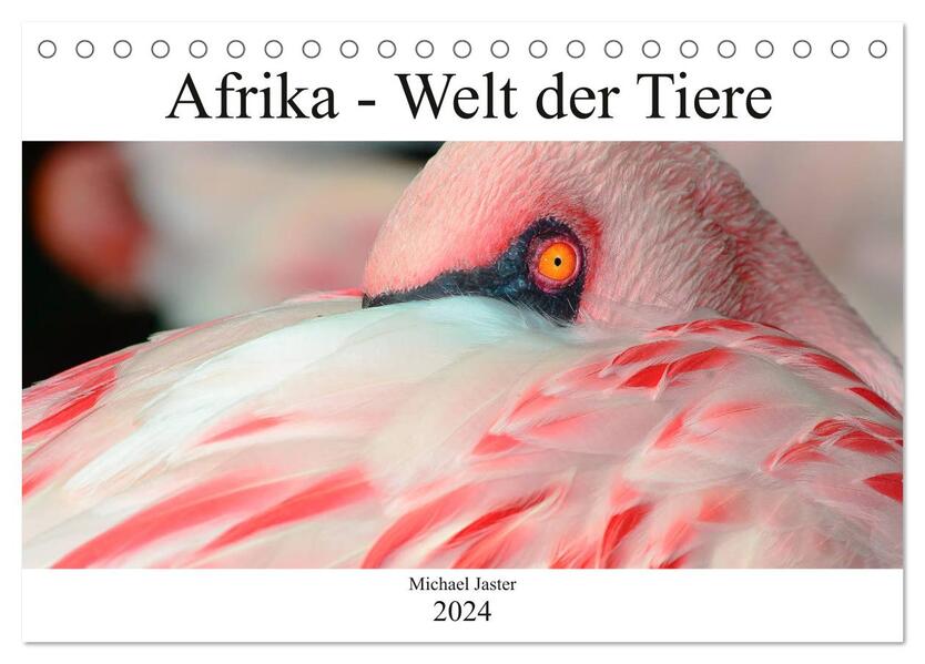 Afrika - Welt der Tiere (Tischkalender 2024 DIN A5 quer) CALVENDO Monatskalender