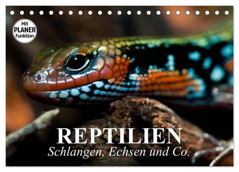 Reptilien. Schlangen Echsen und Co. (Tischkalender 2024 DIN A5 quer) CALVENDO Monatskalender
