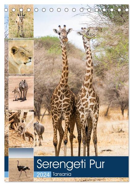 Serengeti Pur - Tansania (Tischkalender 2024 DIN A5 hoch) CALVENDO Monatskalender