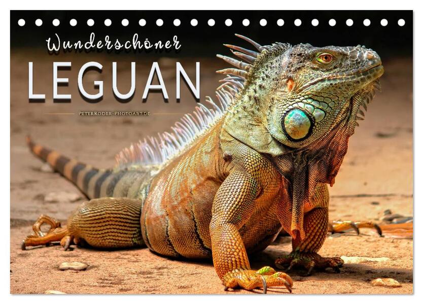 Wunderschöner Leguan (Tischkalender 2024 DIN A5 quer) CALVENDO Monatskalender