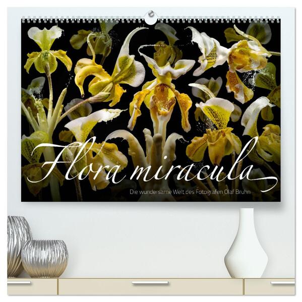Flora miracula - Die wundersame Welt des Fotografen Olaf Bruhn (hochwertiger Premium Wandkalender 2024 DIN A2 quer) Kunstdruck in Hochglanz