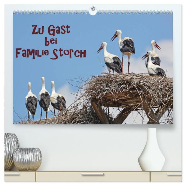 Zu Gast bei Familie Storch (hochwertiger Premium Wandkalender 2024 DIN A2 quer) Kunstdruck in Hochglanz