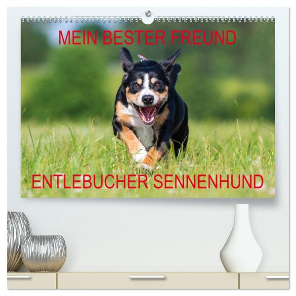 Mein bester Freund - Entlebucher Sennenhund (hochwertiger Premium Wandkalender 2024 DIN A2 quer) Kunstdruck in Hochglanz