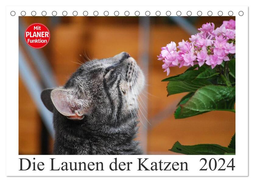 Die Launen der Katzen 2024 (Tischkalender 2024 DIN A5 quer) CALVENDO Monatskalender