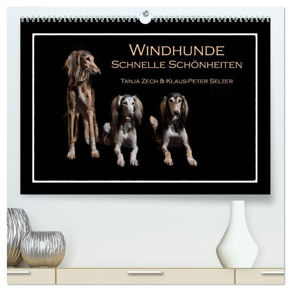 Windhunde - Schnelle Schönheiten (hochwertiger Premium Wandkalender 2024 DIN A2 quer) Kunstdruck in Hochglanz