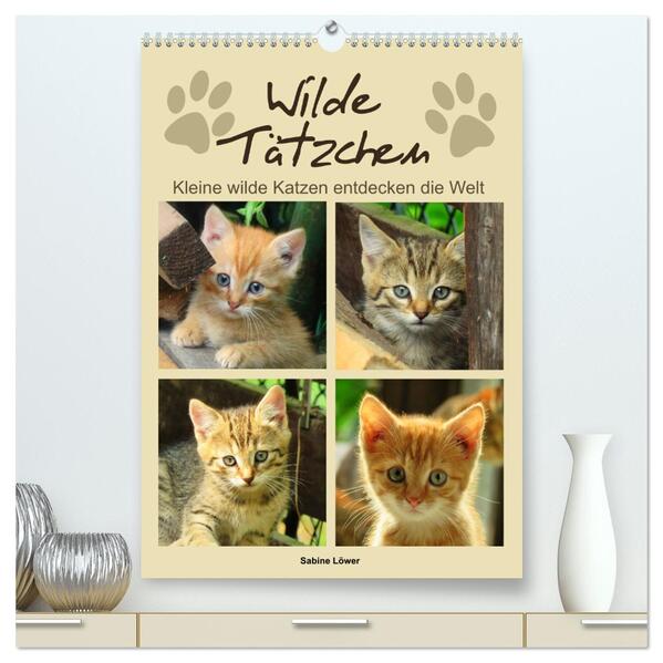 Wilde Tätzchen kleine wilde Katzen entdecken die Welt (hochwertiger Premium Wandkalender 2024 DIN A2 hoch) Kunstdruck in Hochglanz