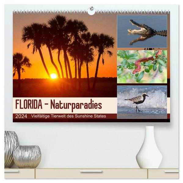 FLORIDA - Naturparadies (hochwertiger Premium Wandkalender 2024 DIN A2 quer) Kunstdruck in Hochglanz