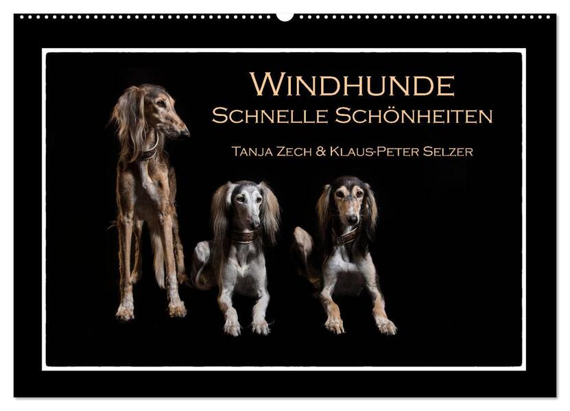Windhunde - Schnelle Schönheiten (Wandkalender 2024 DIN A2 quer) CALVENDO Monatskalender