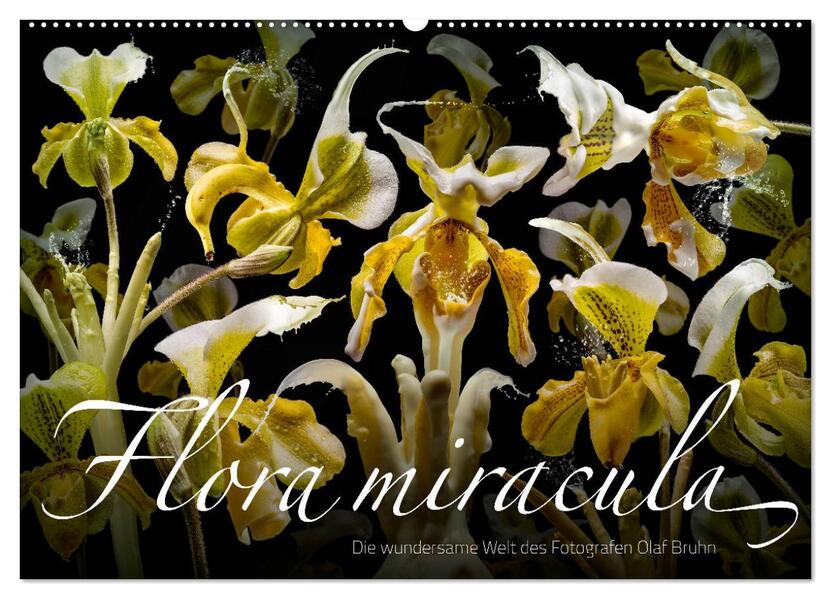 Flora miracula - Die wundersame Welt des Fotografen Olaf Bruhn (Wandkalender 2024 DIN A2 quer) CALVENDO Monatskalender