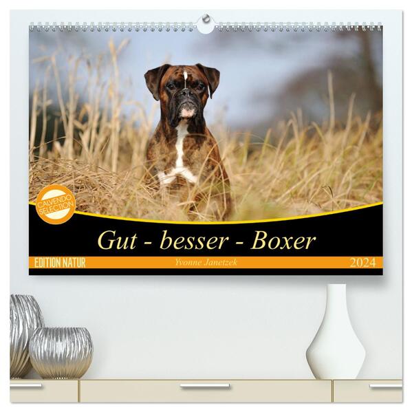 Gut - besser - Boxer (hochwertiger Premium Wandkalender 2024 DIN A2 quer) Kunstdruck in Hochglanz