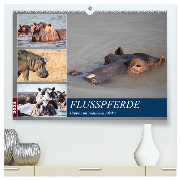 Hippos im südlichen Afrika (hochwertiger Premium Wandkalender 2024 DIN A2 quer) Kunstdruck in Hochglanz