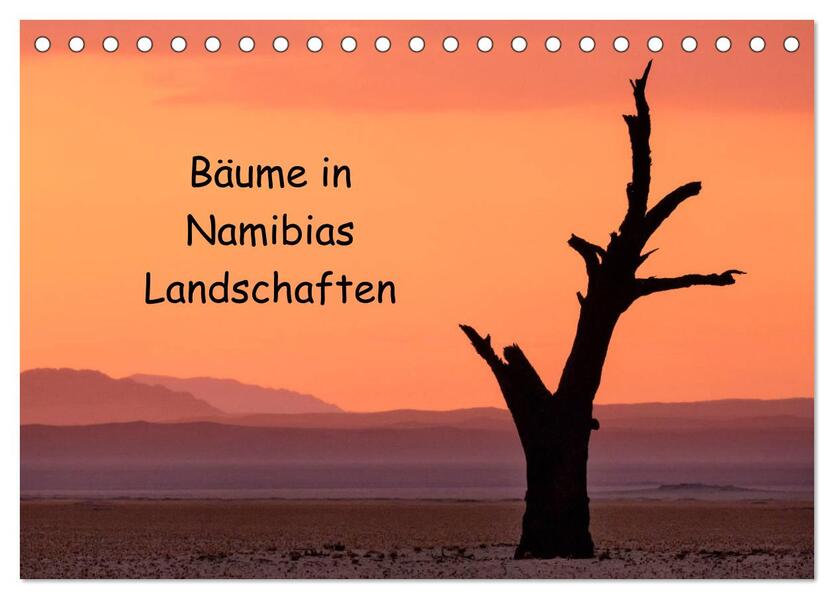Bäume in Namibias Landschaften (Tischkalender 2024 DIN A5 quer) CALVENDO Monatskalender
