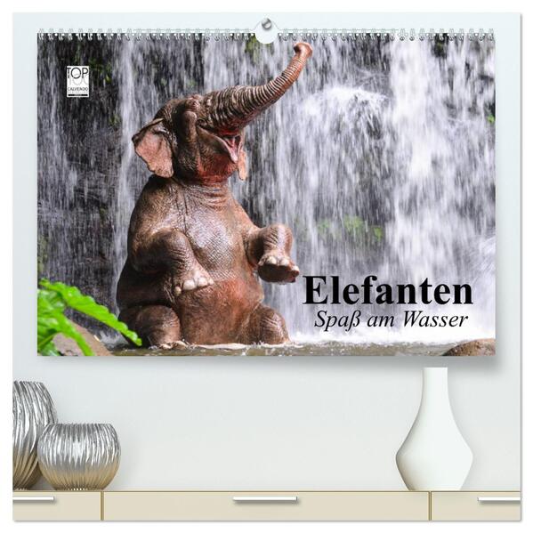 Elefanten. Spaß am Wasser (hochwertiger Premium Wandkalender 2024 DIN A2 quer) Kunstdruck in Hochglanz