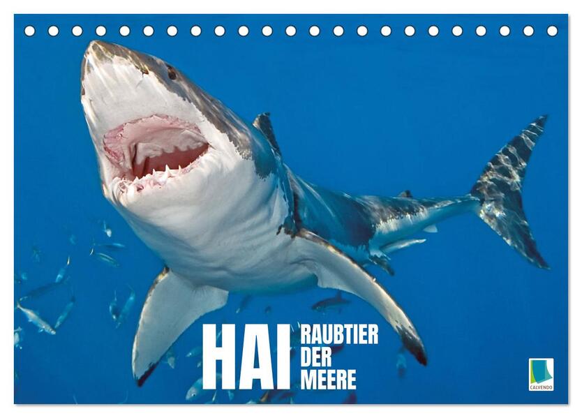 Hai: Raubtier der Meere (Tischkalender 2024 DIN A5 quer) CALVENDO Monatskalender