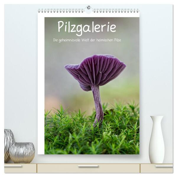 Pilzgalerie - Die geheimnisvolle Welt der heimischen Pilze (hochwertiger Premium Wandkalender 2024 DIN A2 hoch) Kunstdruck in Hochglanz