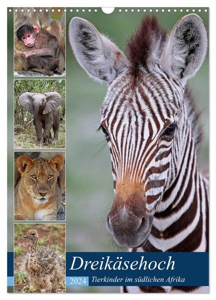 Dreikäsehoch - Tierkinder im südlichen Afrika (Wandkalender 2024 DIN A3 hoch) CALVENDO Monatskalender