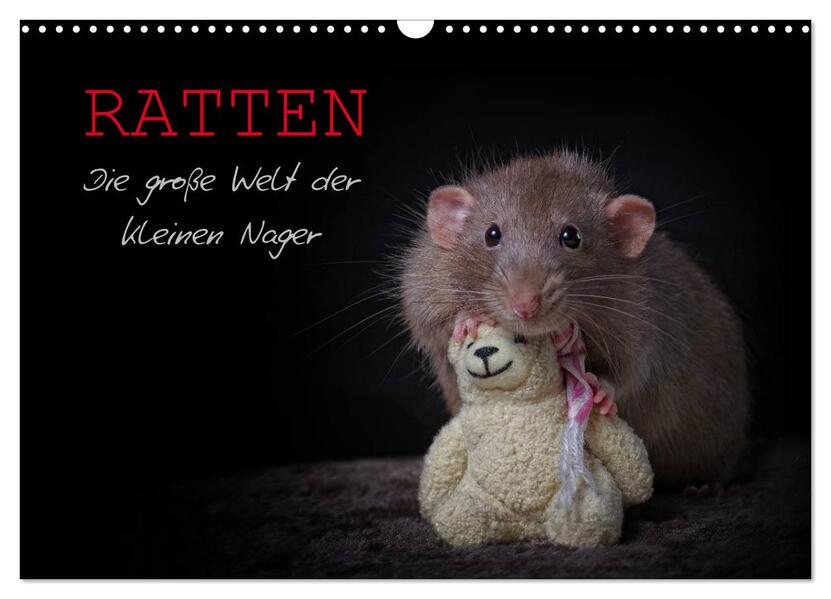 Ratten. Die große Welt der kleinen Nager (Wandkalender 2024 DIN A3 quer) CALVENDO Monatskalender
