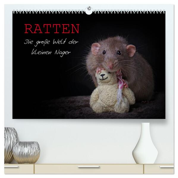 Ratten. Die große Welt der kleinen Nager (hochwertiger Premium Wandkalender 2024 DIN A2 quer) Kunstdruck in Hochglanz