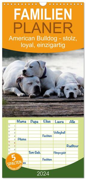 Familienplaner 2024 - American Bulldog - stolz loyal einzigartig mit 5 Spalten (Wandkalender 21 x 45 cm) CALVENDO