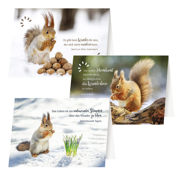 3er-Set Grußkarten Über die kleinen Wunder