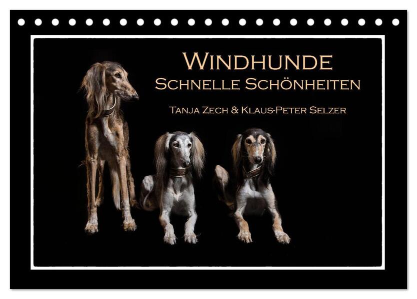 Windhunde - Schnelle Schönheiten (Tischkalender 2024 DIN A5 quer) CALVENDO Monatskalender