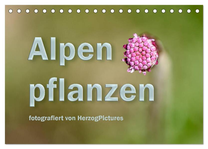Alpenpflanzen fotografiert von HerzogPictures (Tischkalender 2024 DIN A5 quer) CALVENDO Monatskalender