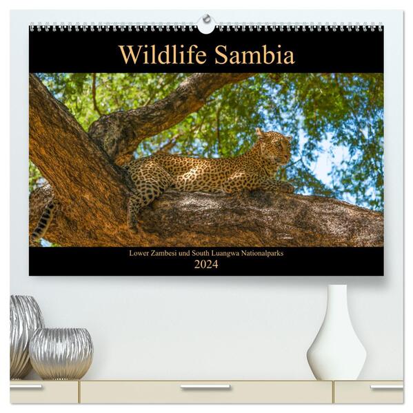 Wildlife Sambia (hochwertiger Premium Wandkalender 2024 DIN A2 quer) Kunstdruck in Hochglanz