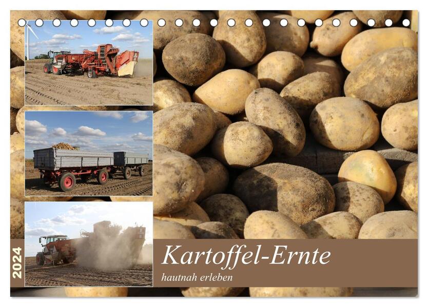 Kartoffel-Ernte - hautnah erleben (Tischkalender 2024 DIN A5 quer) CALVENDO Monatskalender