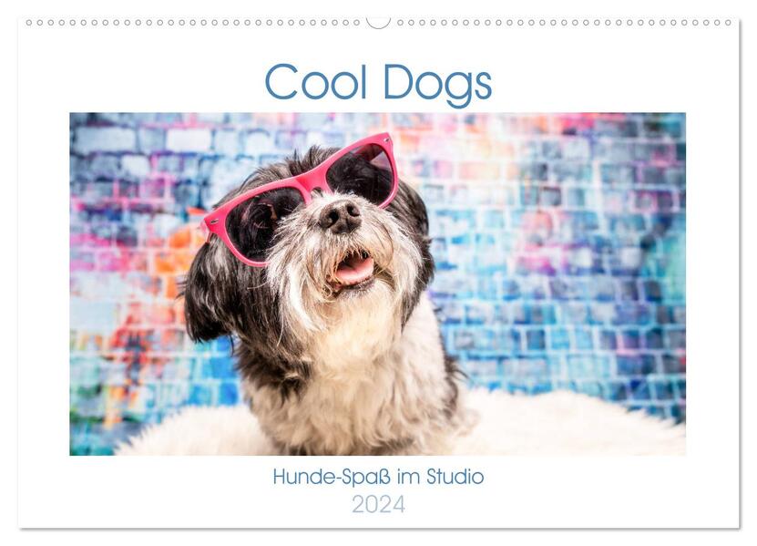Cool Dogs - Hunde-Spaß im Studio (Wandkalender 2024 DIN A2 quer) CALVENDO Monatskalender