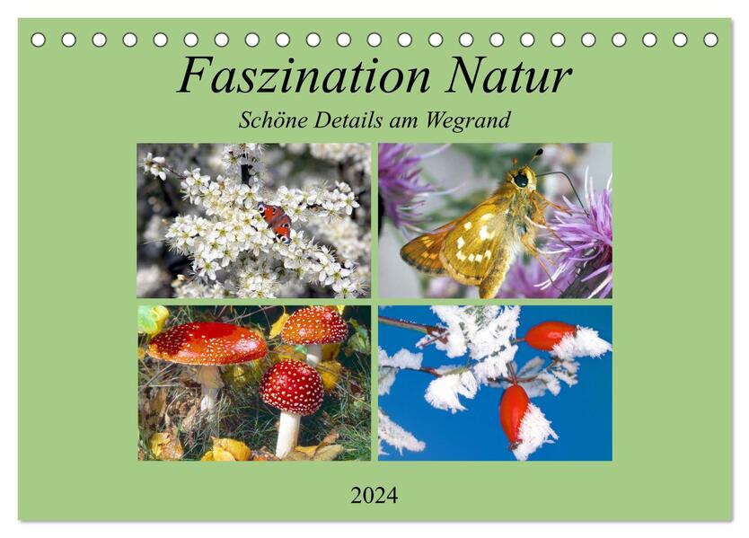 Faszination Natur - Schöne Details am Wegrand (Tischkalender 2024 DIN A5 quer) CALVENDO Monatskalender