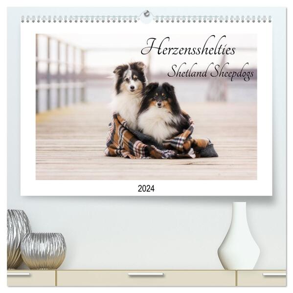 Herzensshelties - Shetland Sheepdogs (hochwertiger Premium Wandkalender 2024 DIN A2 quer) Kunstdruck in Hochglanz