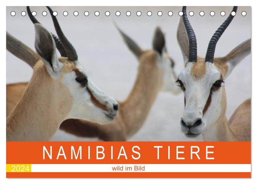Namibias Tiere - wild im Bild (Tischkalender 2024 DIN A5 quer) CALVENDO Monatskalender