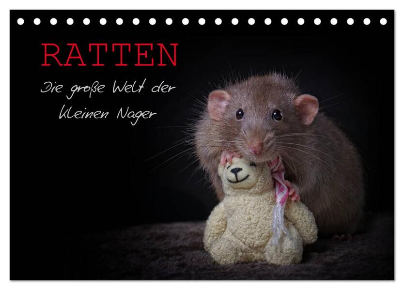 Ratten. Die große Welt der kleinen Nager (Tischkalender 2024 DIN A5 quer) CALVENDO Monatskalender