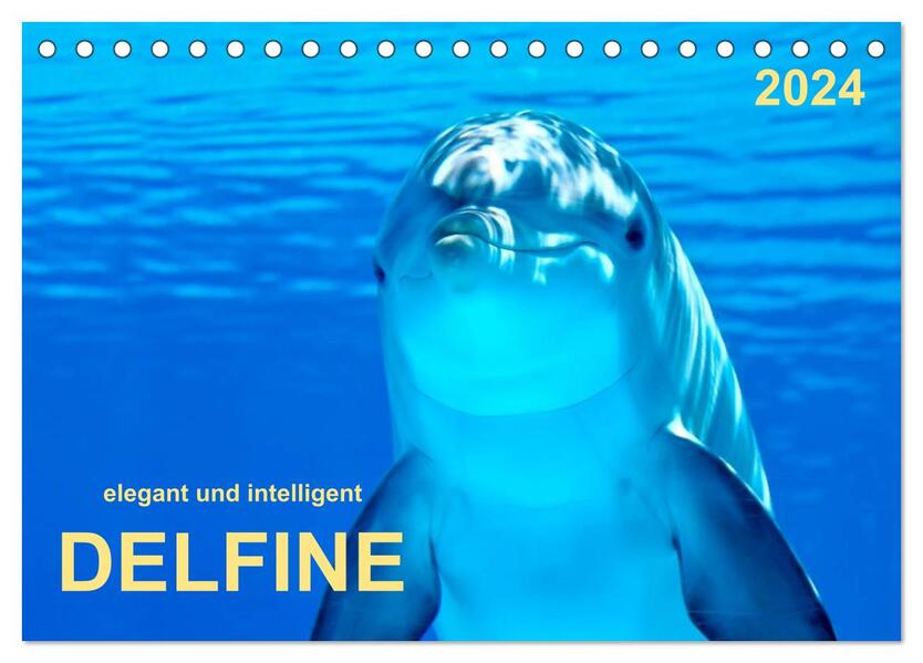 Delfine - elegant und intelligent (Tischkalender 2024 DIN A5 quer) CALVENDO Monatskalender
