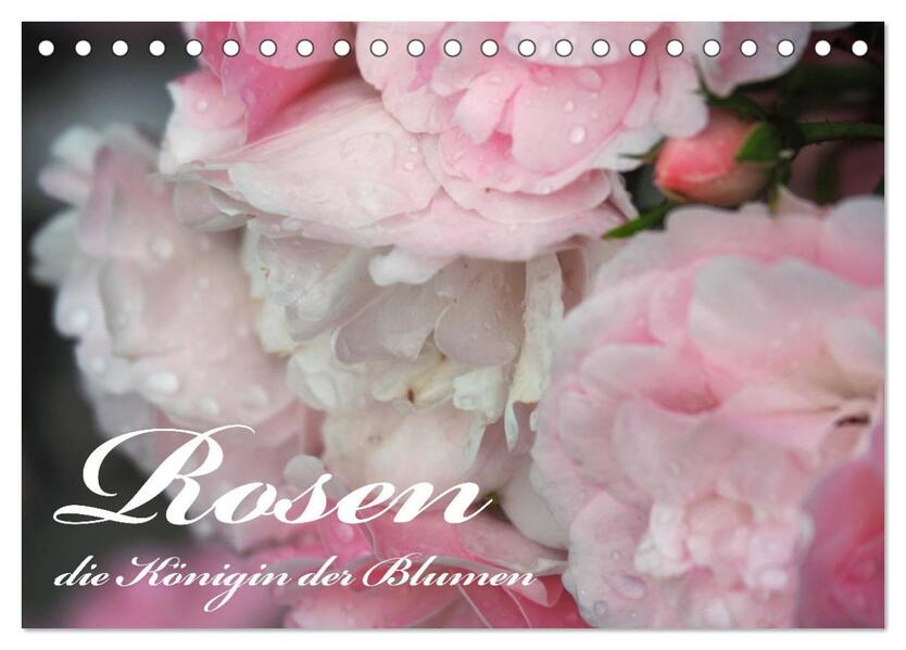 Rosen die Königin der Blumen (Tischkalender 2024 DIN A5 quer) CALVENDO Monatskalender