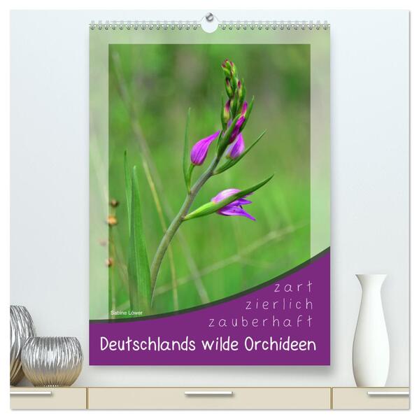 Deutschlands wilde Orchideen (hochwertiger Premium Wandkalender 2024 DIN A2 hoch) Kunstdruck in Hochglanz