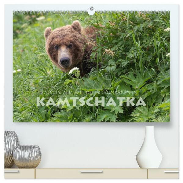 Aug in Aug mit den Braunbären in Kamtschatka (hochwertiger Premium Wandkalender 2024 DIN A2 quer) Kunstdruck in Hochglanz