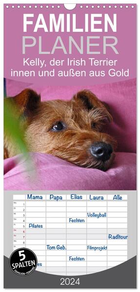 Familienplaner 2024 - Kelly der Irish Terrier - innen und außen aus Gold mit 5 Spalten (Wandkalender 21 x 45 cm) CALVENDO