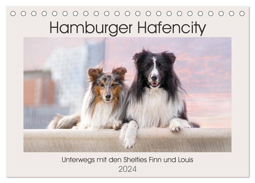 Hamburger Hafencity - Unterwegs mit den Shelties Finn und Louis (Tischkalender 2024 DIN A5 quer) CALVENDO Monatskalender