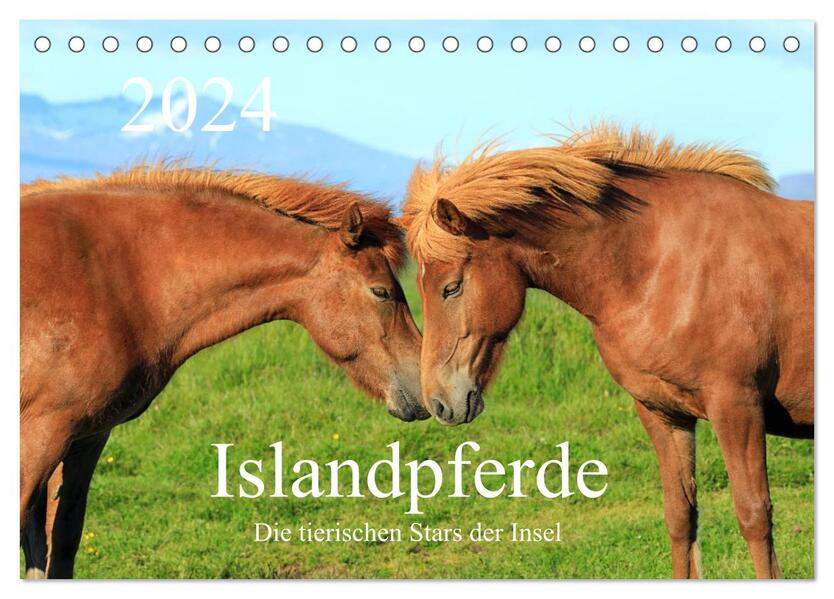 Islandpferde - Die tierischen Stars der Insel (Tischkalender 2024 DIN A5 quer) CALVENDO Monatskalender