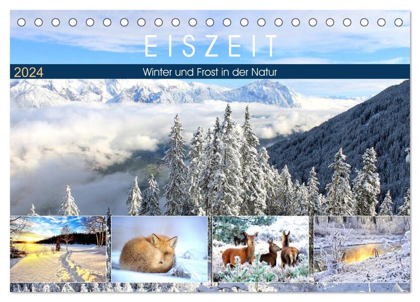 Eiszeit. Winter und Frost in der Natur (Tischkalender 2024 DIN A5 quer) CALVENDO Monatskalender