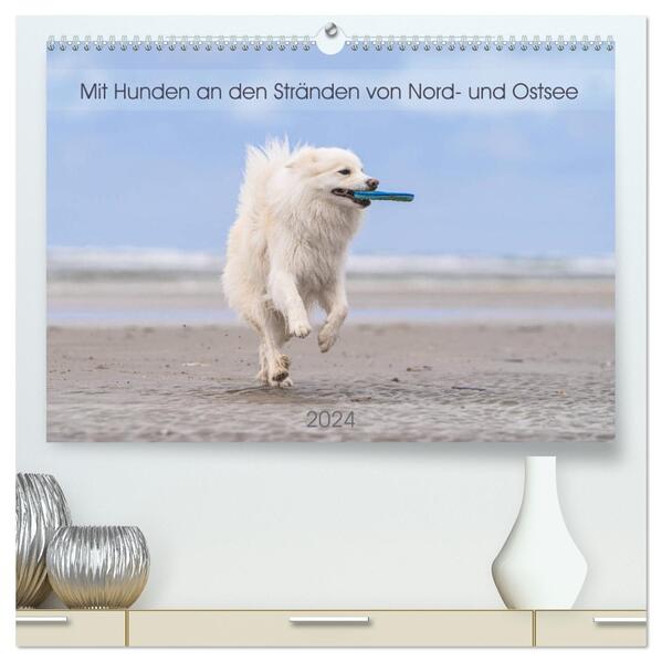 Mit Hunden an den Stränden von Nord- und Ostsee (hochwertiger Premium Wandkalender 2024 DIN A2 quer) Kunstdruck in Hochglanz
